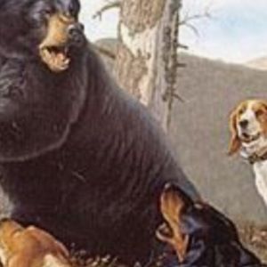 Meet your Posher, Ben